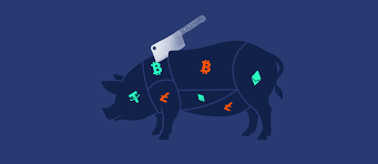 Victim of the Pig-Butchering Scheme